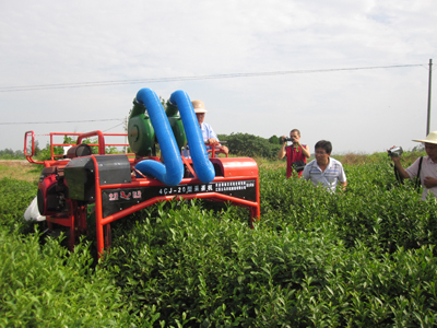 1682241216931911.jpg 2.jpg