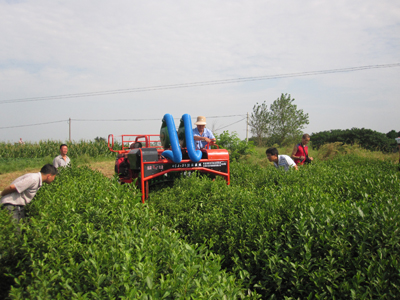 1682241223187696.jpg 3.jpg